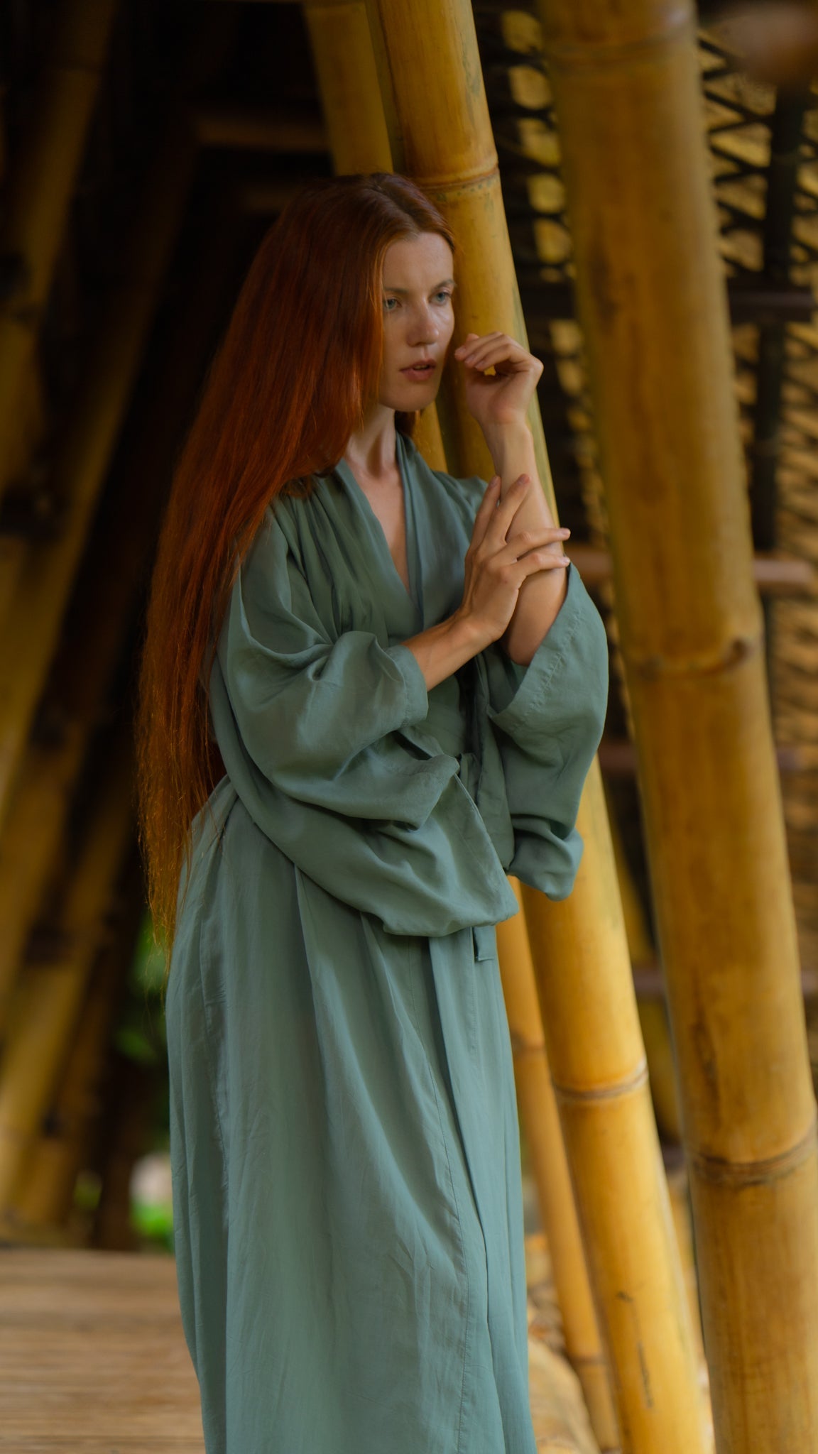 What is Yangsheng Cha Dao?
